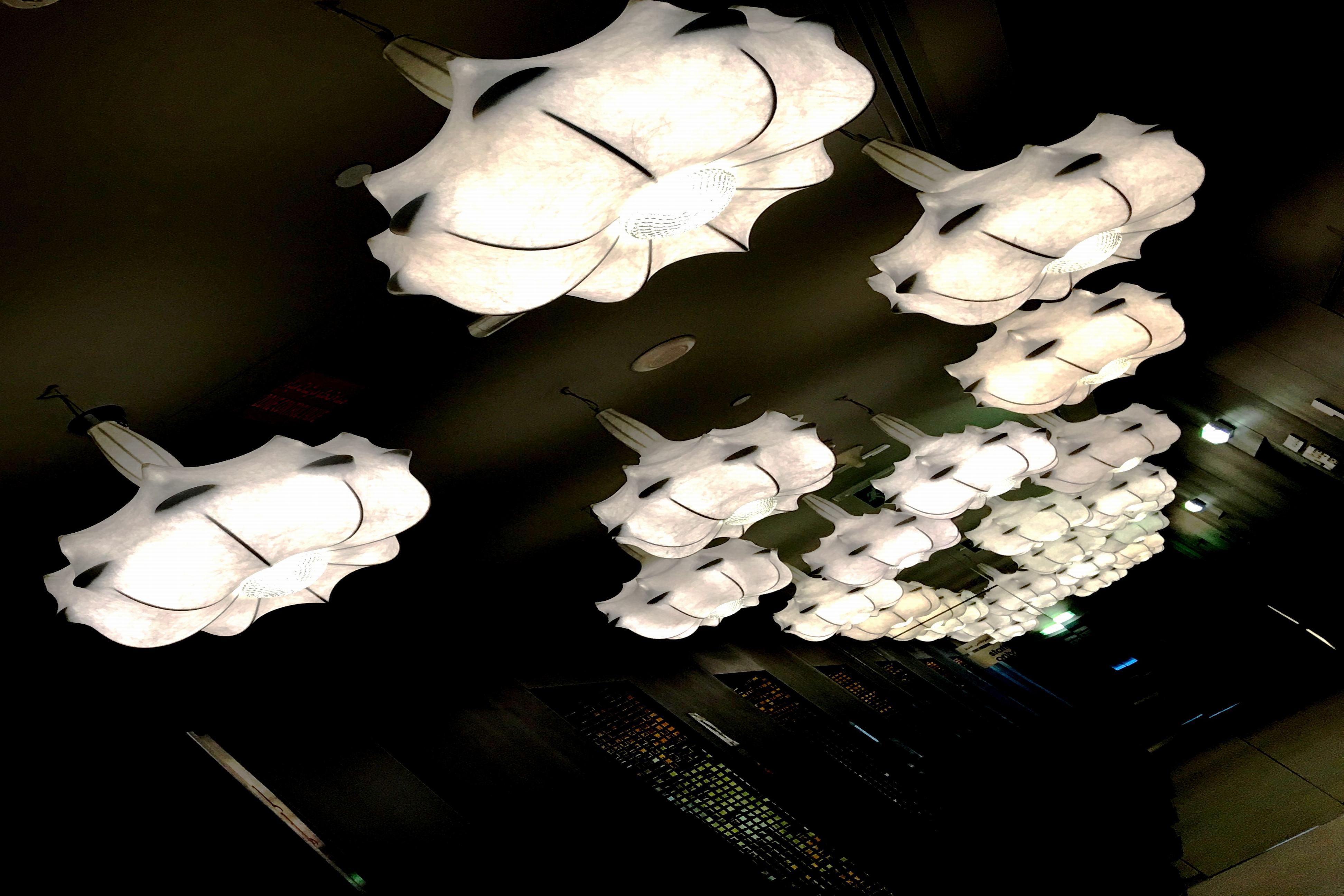 فندق إيه سي تي الشارقة المظهر الخارجي الصورة The ceiling of the main hall